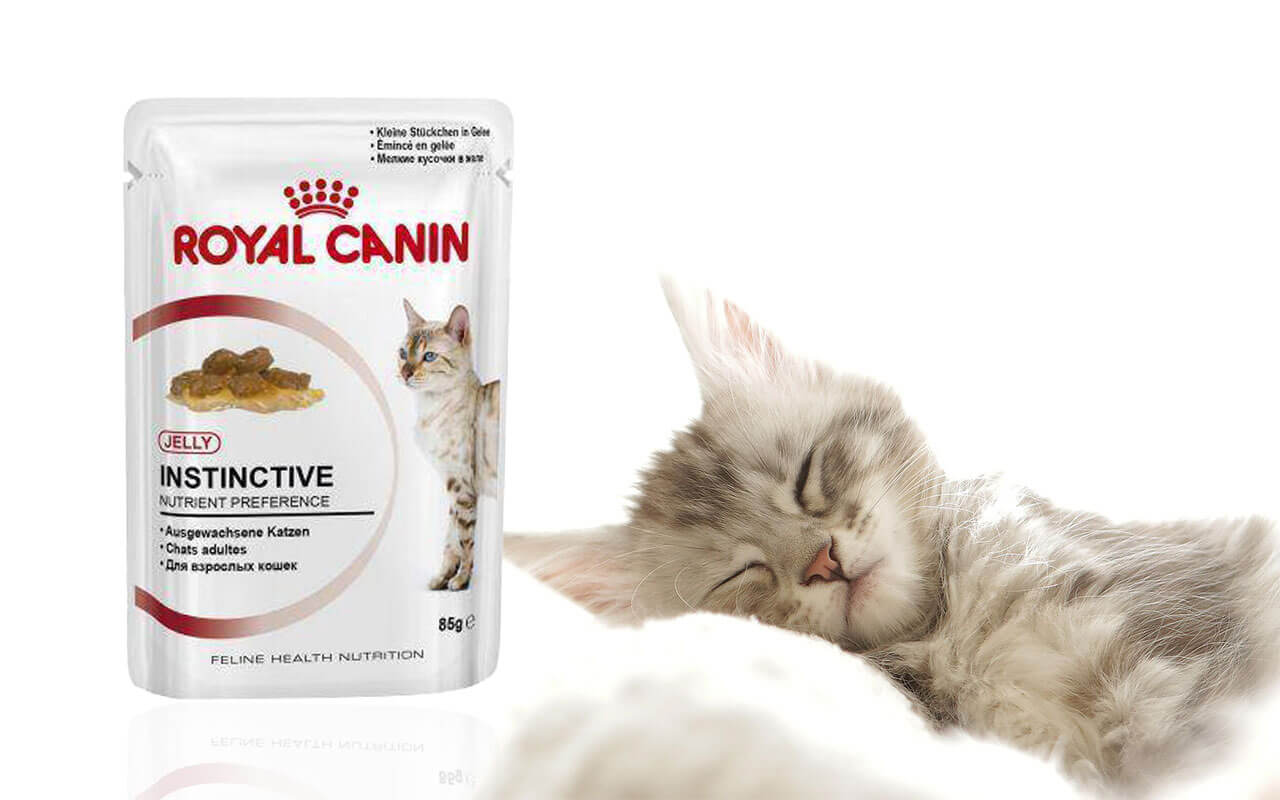 Royal Canin: Health Nutrition Instinctive in Jelly – Idealna ishrana za vašu mačku!